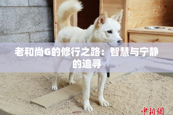老和尚G的修行之路：智慧与宁静的追寻