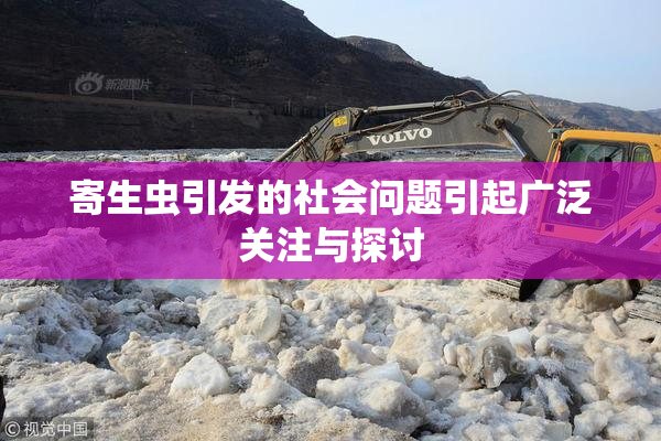 寄生虫引发的社会问题引起广泛关注与探讨