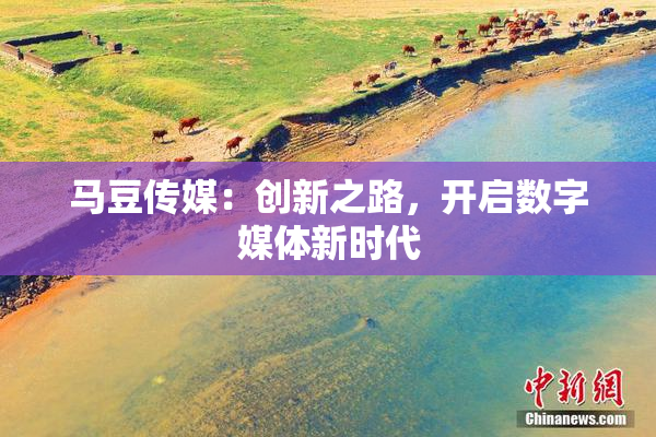 马豆传媒：创新之路，开启数字媒体新时代