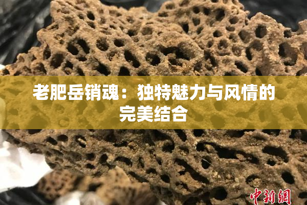 老肥岳销魂：独特魅力与风情的完美结合