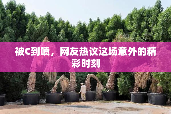 被C到喷，网友热议这场意外的精彩时刻