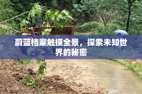 蔚蓝档案触摸全景，探索未知世界的秘密