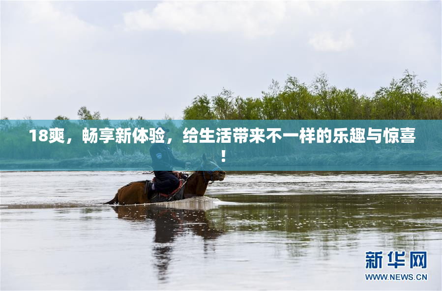 18爽，畅享新体验，给生活带来不一样的乐趣与惊喜！