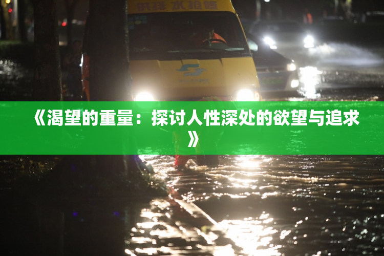 《渴望的重量：探讨人性深处的欲望与追求》