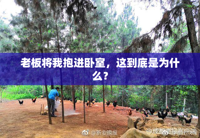 老板将我抱进卧室，这到底是为什么？
