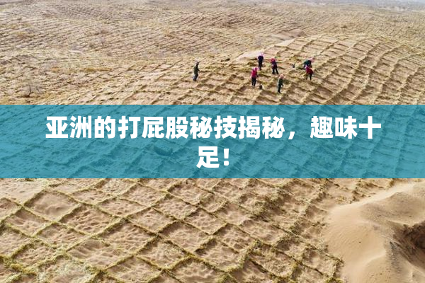 亚洲的打屁股秘技揭秘，趣味十足！