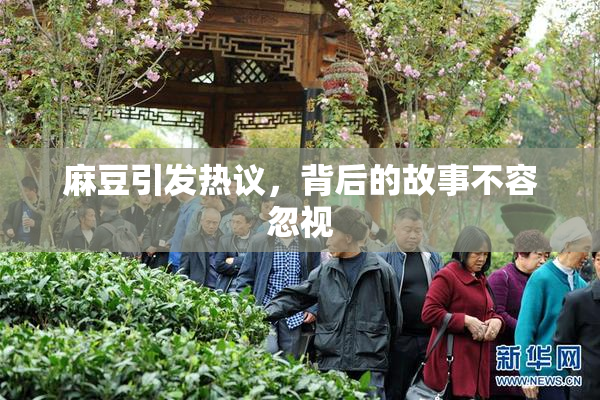 麻豆引发热议，背后的故事不容忽视