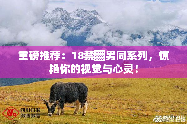 重磅推荐：18禁▓男同系列，惊艳你的视觉与心灵！