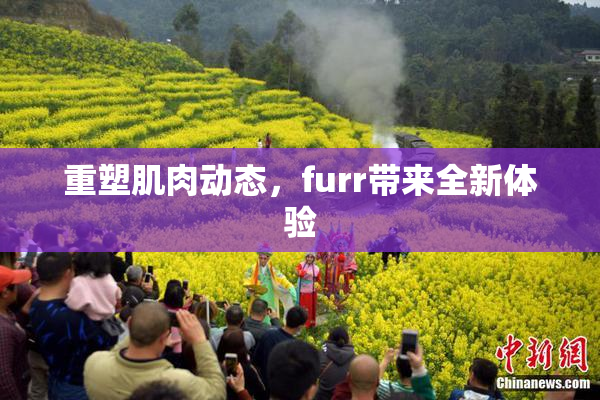 重塑肌肉动态，furr带来全新体验