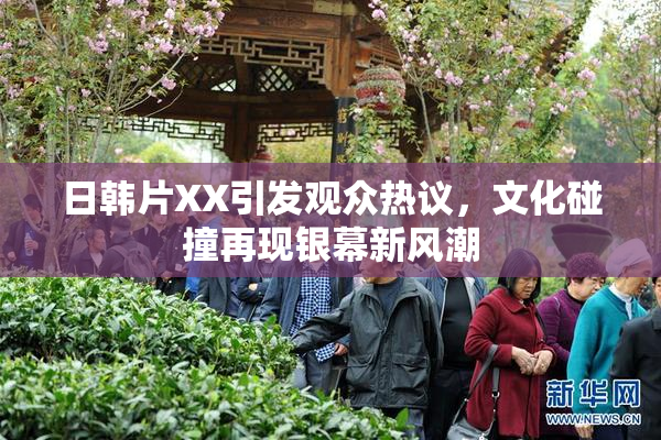 日韩片XX引发观众热议，文化碰撞再现银幕新风潮
