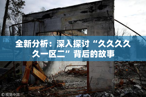 全新分析：深入探讨“久久久久久一区二”背后的故事