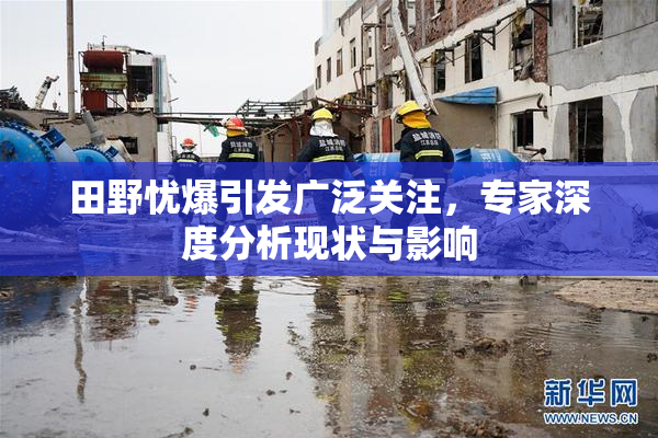 田野忧爆引发广泛关注，专家深度分析现状与影响