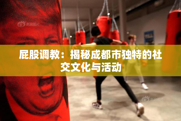 屁股调教：揭秘成都市独特的社交文化与活动