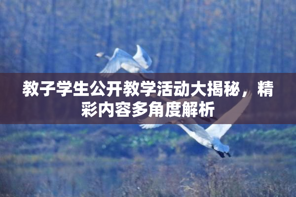 教子学生公开教学活动大揭秘，精彩内容多角度解析