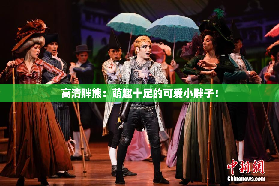 高清胖熊：萌趣十足的可爱小胖子！