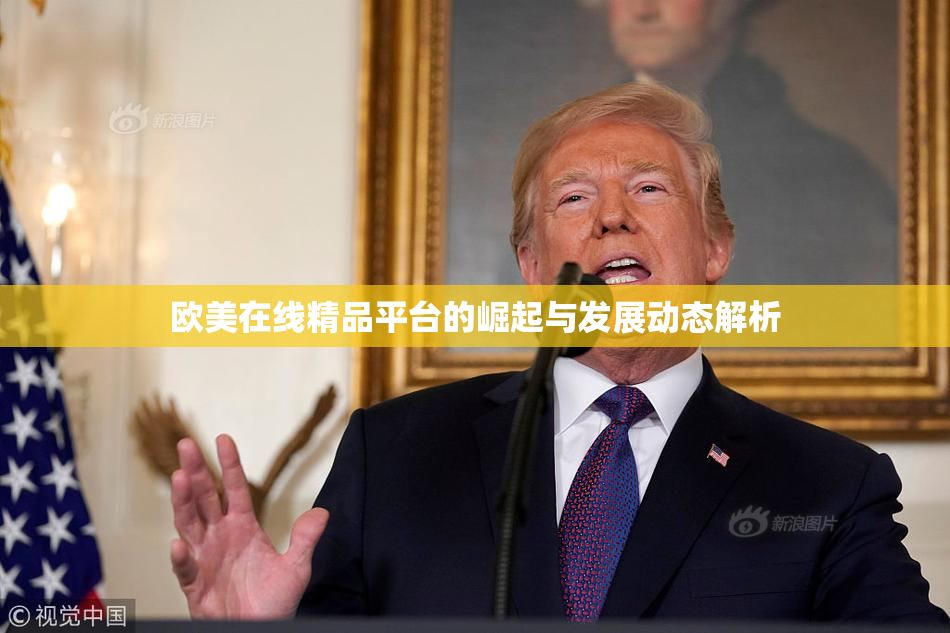欧美在线精品平台的崛起与发展动态解析
