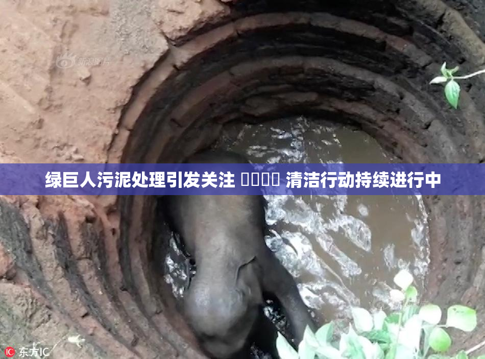 绿巨人污泥处理引发关注 ❌‌❌‌ 清洁行动持续进行中
