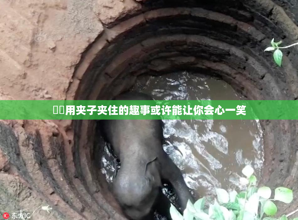 妺妺用夹子夹住的趣事或许能让你会心一笑