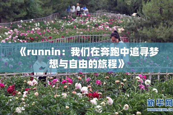 《runnin：我们在奔跑中追寻梦想与自由的旅程》