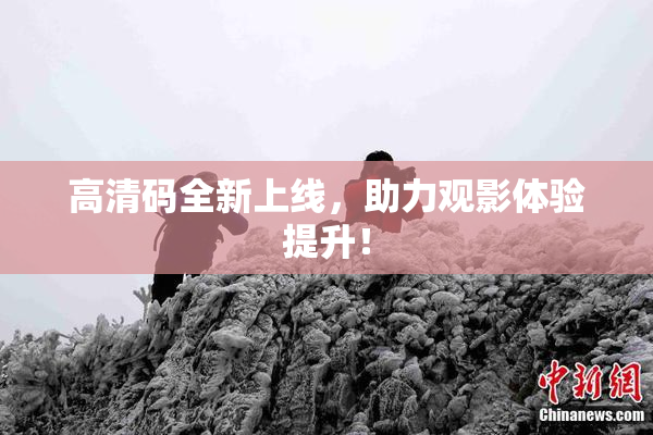 高清码全新上线，助力观影体验提升！