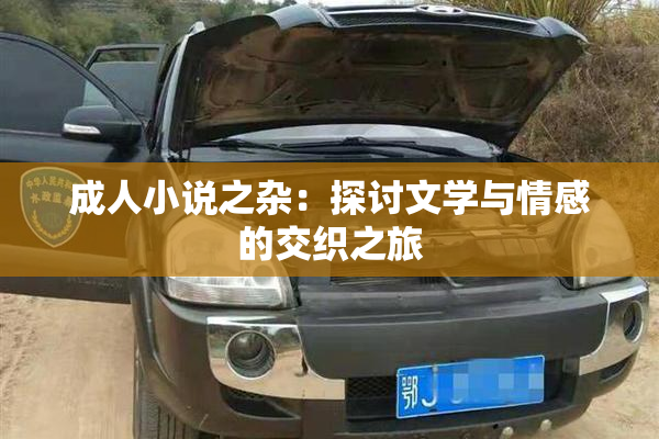 成人小说之杂：探讨文学与情感的交织之旅