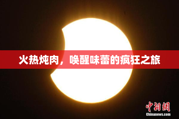 火热炖肉，唤醒味蕾的疯狂之旅