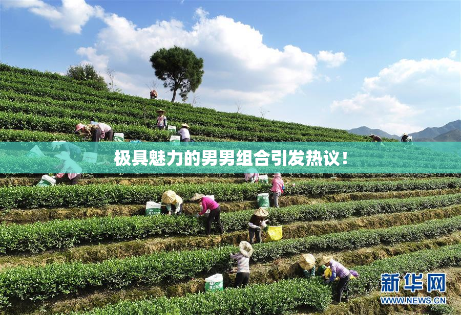 极具魅力的男男组合引发热议！