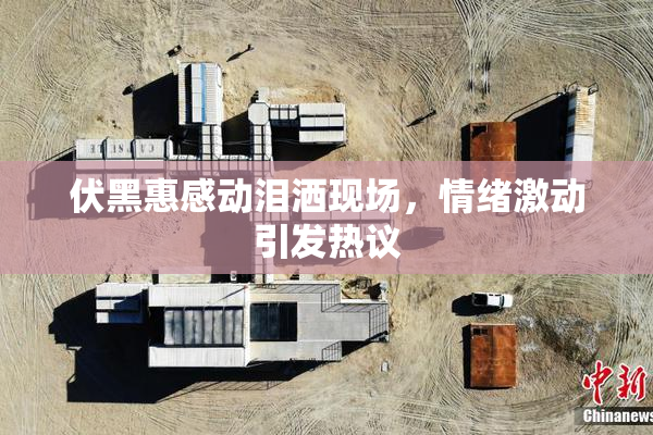 伏黑惠感动泪洒现场，情绪激动引发热议
