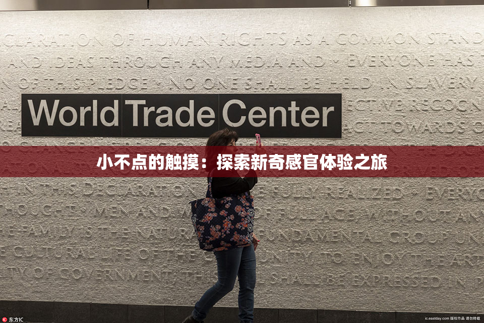 小不点的触摸：探索新奇感官体验之旅