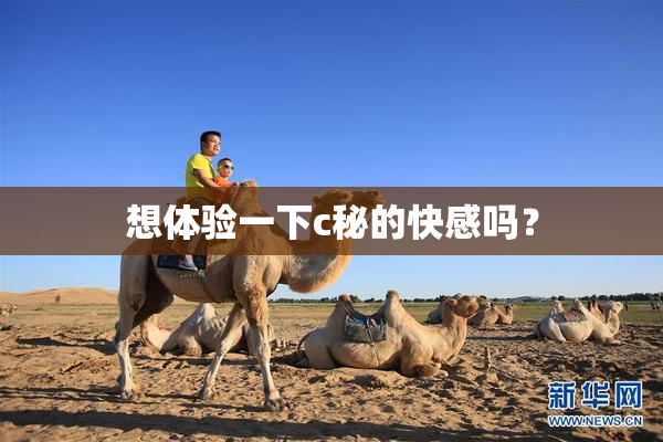 想体验一下c秘的快感吗？