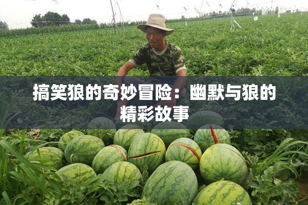 搞笑狼的奇妙冒险：幽默与狼的精彩故事