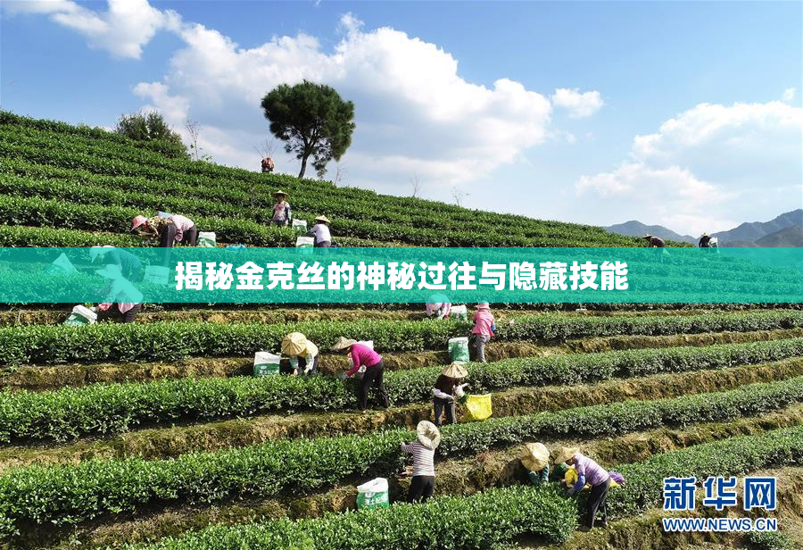 揭秘金克丝的神秘过往与隐藏技能