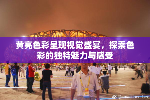 黄亮色彩呈现视觉盛宴，探索色彩的独特魅力与感受