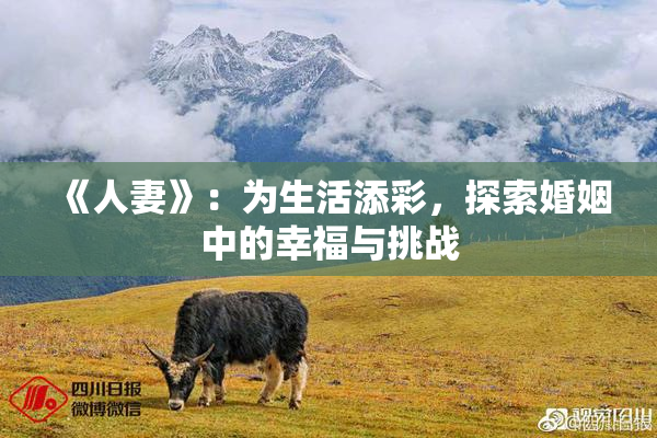 《人妻》：为生活添彩，探索婚姻中的幸福与挑战