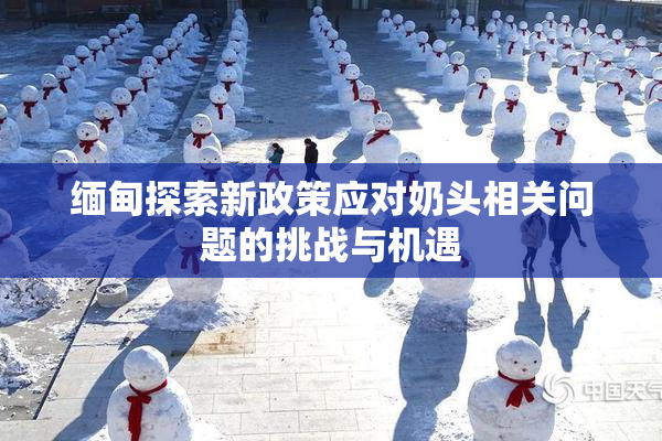 缅甸探索新政策应对奶头相关问题的挑战与机遇