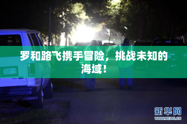 罗和路飞携手冒险，挑战未知的海域！
