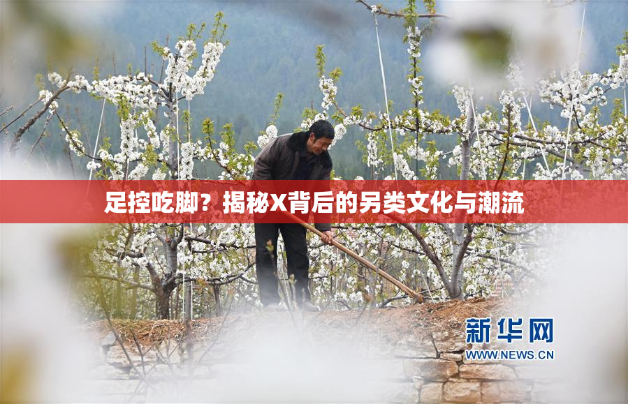 足控吃脚？揭秘X背后的另类文化与潮流