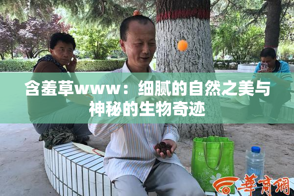 含羞草www：细腻的自然之美与神秘的生物奇迹