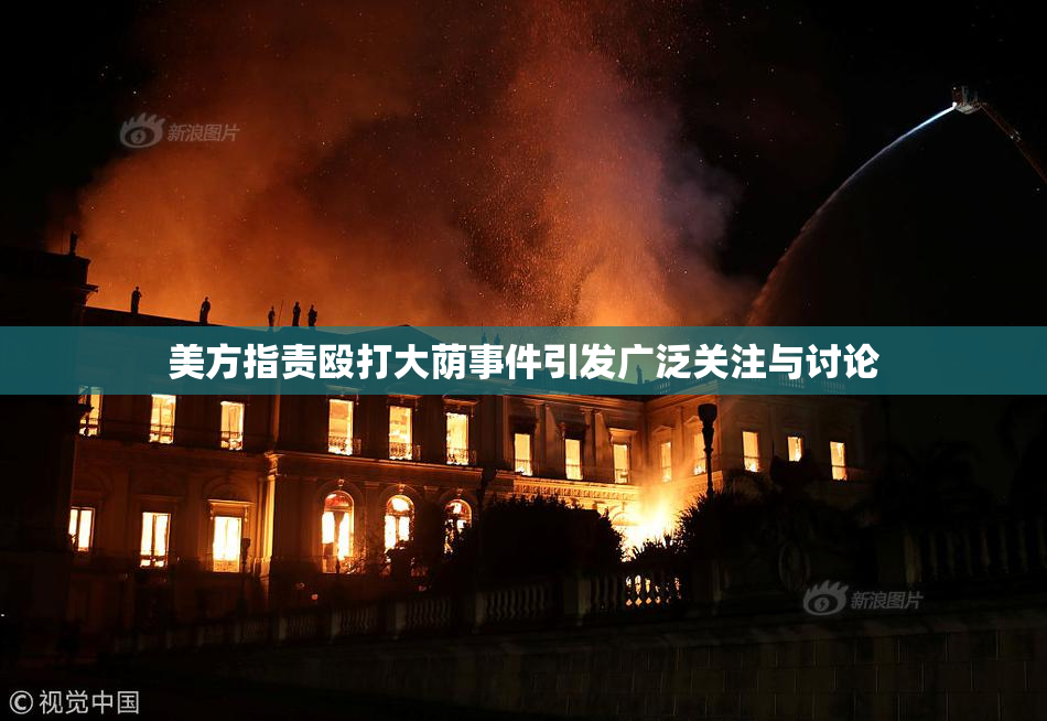 美方指责殴打大荫事件引发广泛关注与讨论