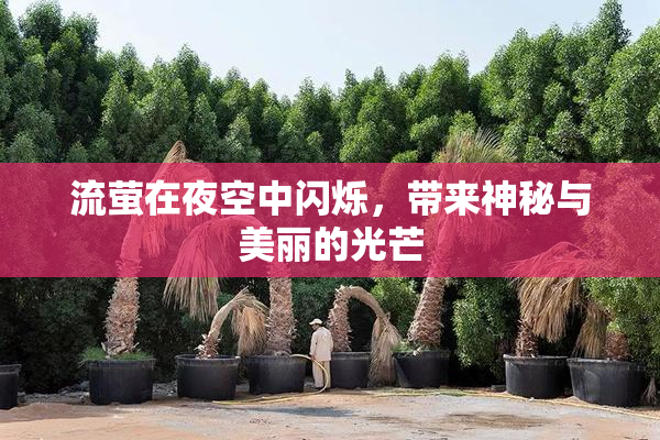 流萤在夜空中闪烁，带来神秘与美丽的光芒