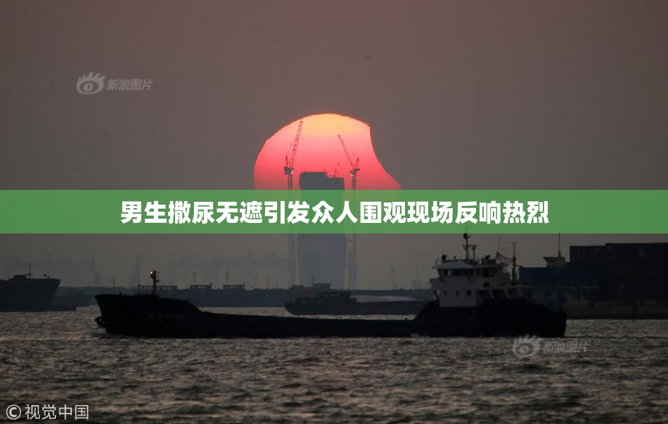 男生撒尿无遮引发众人围观现场反响热烈