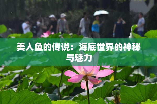 美人鱼的传说：海底世界的神秘与魅力