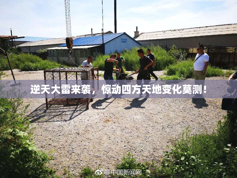 逆天大雷来袭，惊动四方天地变化莫测！