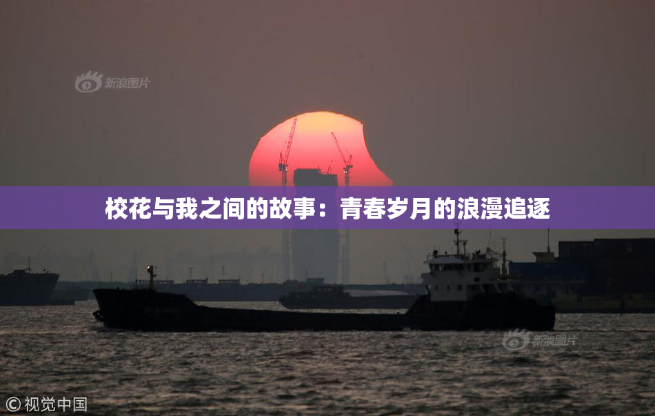 校花与我之间的故事：青春岁月的浪漫追逐