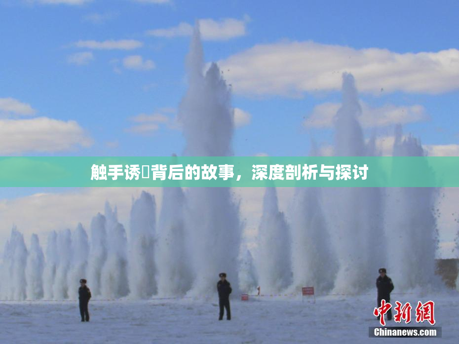 触手诱奷背后的故事，深度剖析与探讨