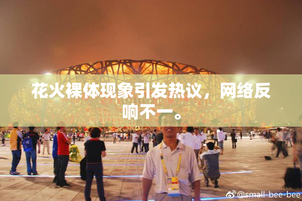 花火裸体现象引发热议，网络反响不一。