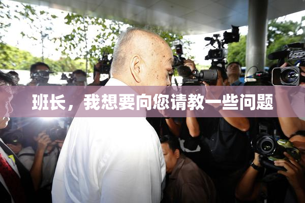班长，我想要向您请教一些问题