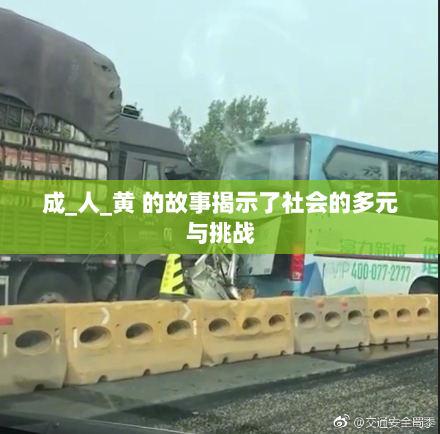 成_人_黄 的故事揭示了社会的多元与挑战