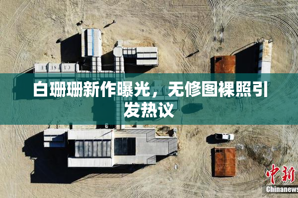 白珊珊新作曝光，无修图裸照引发热议