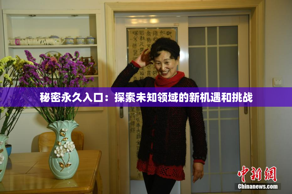 秘密永久入口：探索未知领域的新机遇和挑战